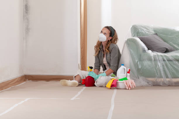 Reliable Mold Remediation contractor in Pine Hill, NJ by 24 Hour Mold Removal